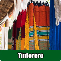Tintorero