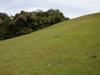 Cumbres del Palenque en LaraTurismo
